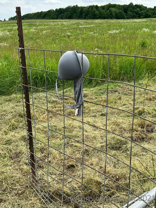 Working in the barn yard got a little hot.