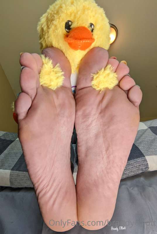It's so adorable how Mr. Duck won't stop sniffing between my..