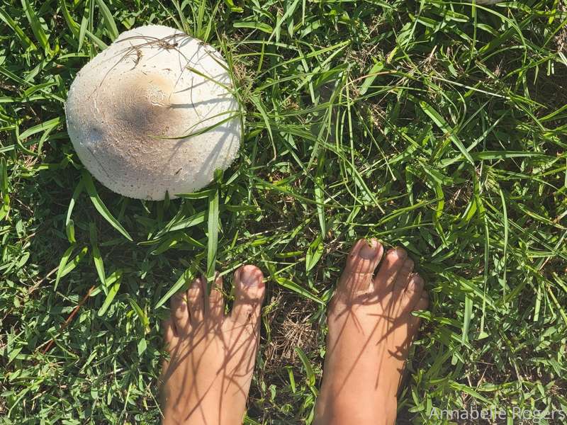 Barefoot, braless and bushy 4