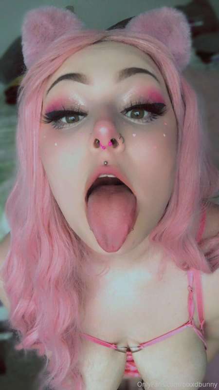 dingus bingus 7