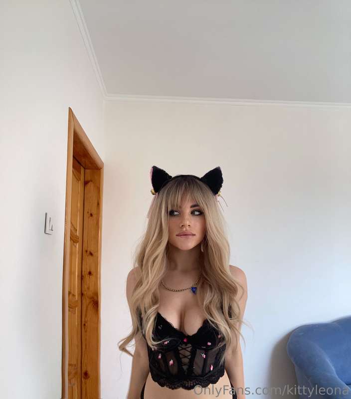 meow😸