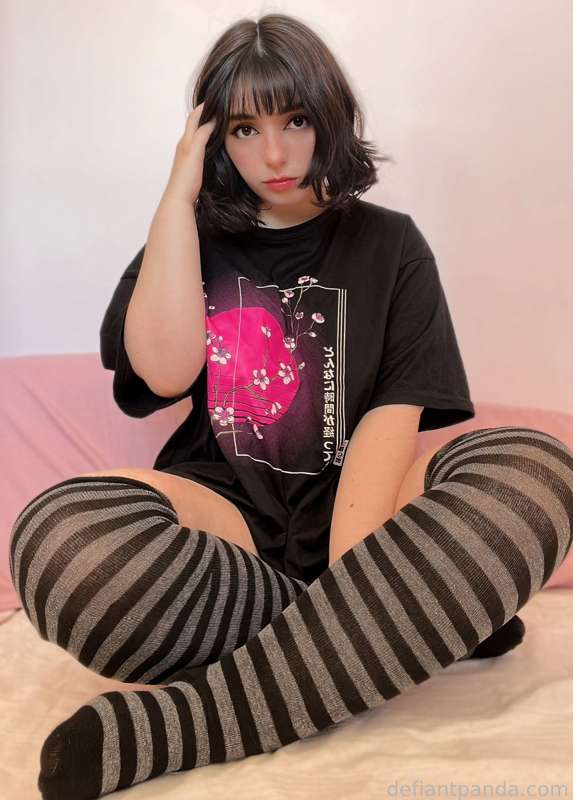 Defiantpanda - Fansly - 10 Apr, 2023 1
