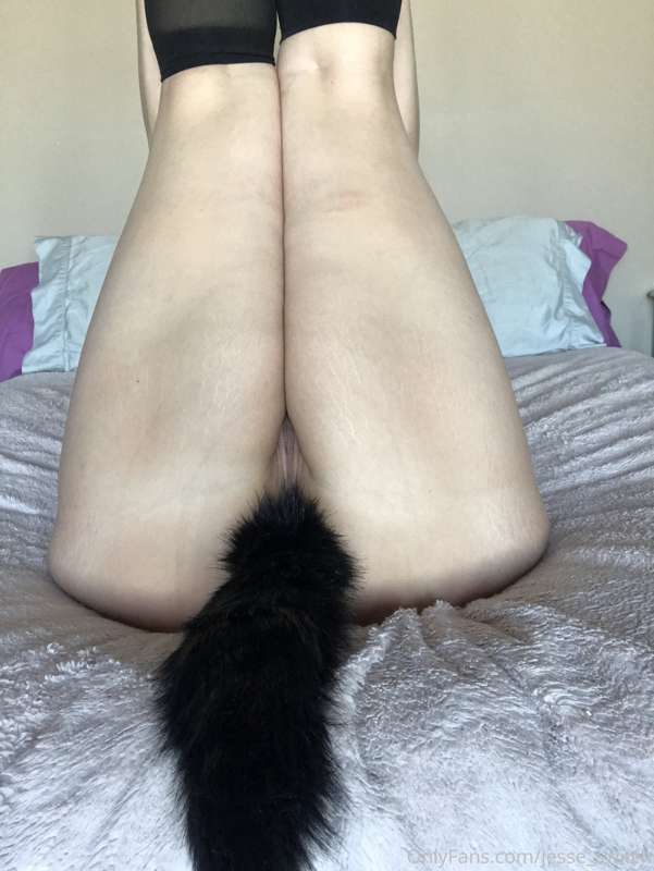 Here kitty kitty 😻 12