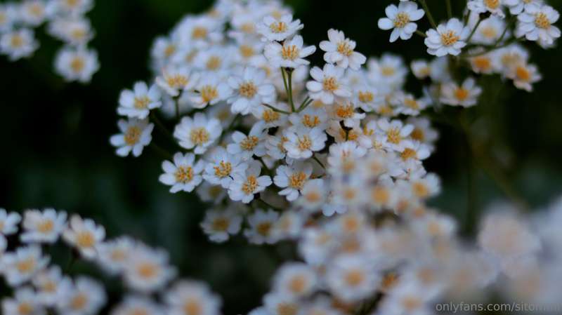 Hi, have a nice Thursday, everyone :)Last evening when I wen.. 3