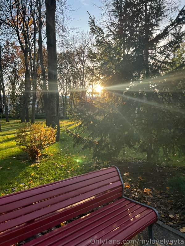 Sunset is a magical time of day when nature transforms and b..