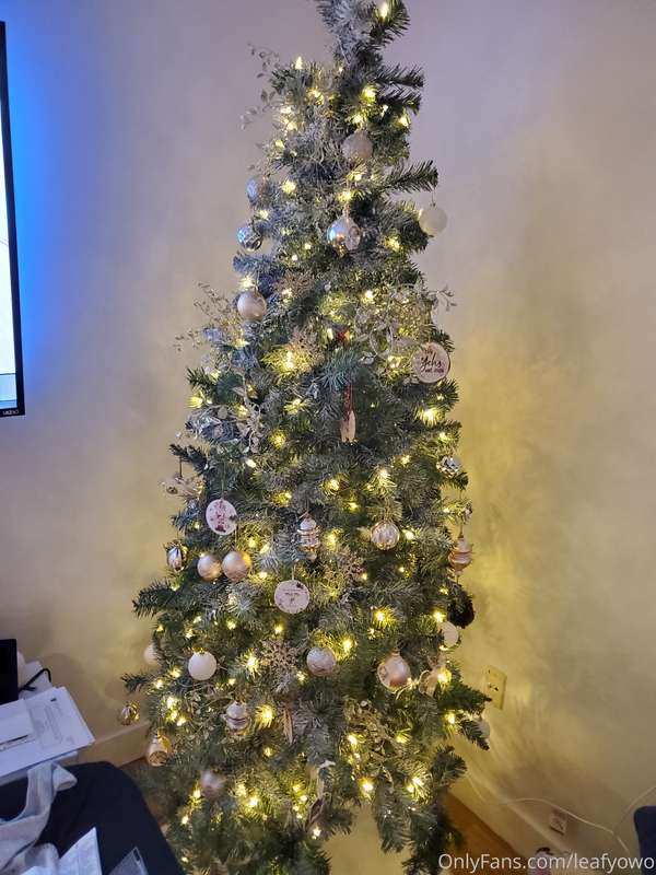 🎄