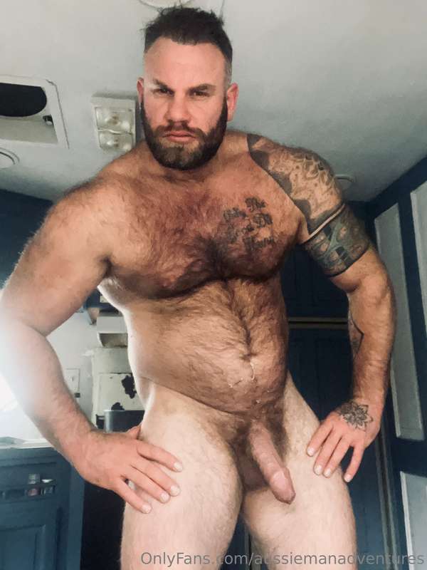 Happy Monday everyone. From your favourite Aussie Bear 🇦🇺🐻