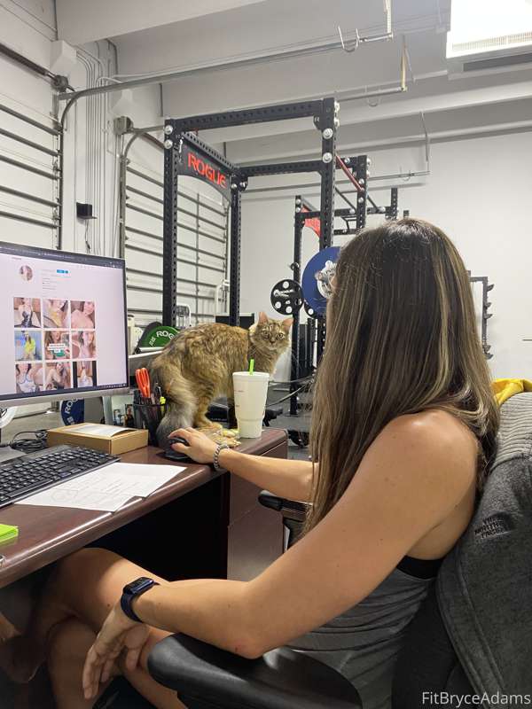 How I work 😏 With a helper!