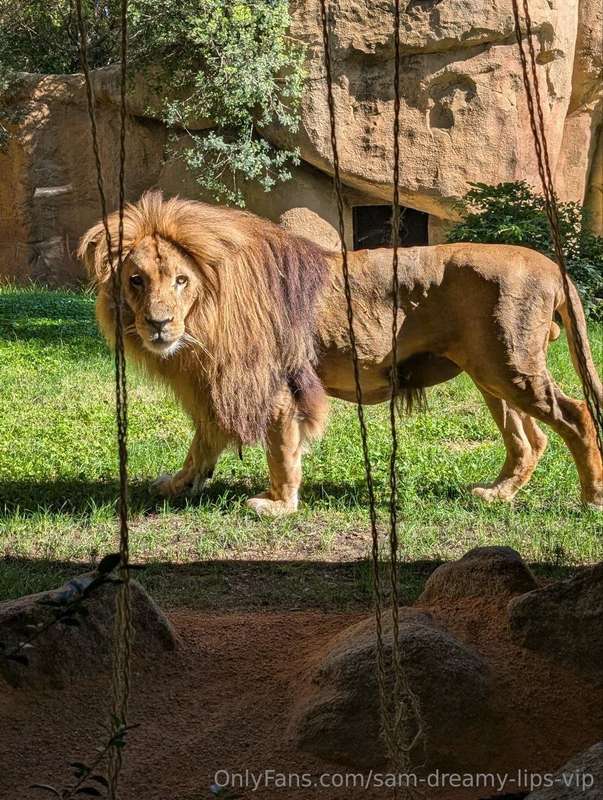 To proof I *DID* go to the zoo hahahaha.   Now, there's some.. 1