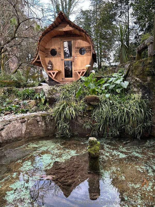 This is our new sauna! Not sure whether I had shown it here... 5