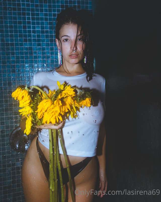 Regalame girasoles 🌻 2