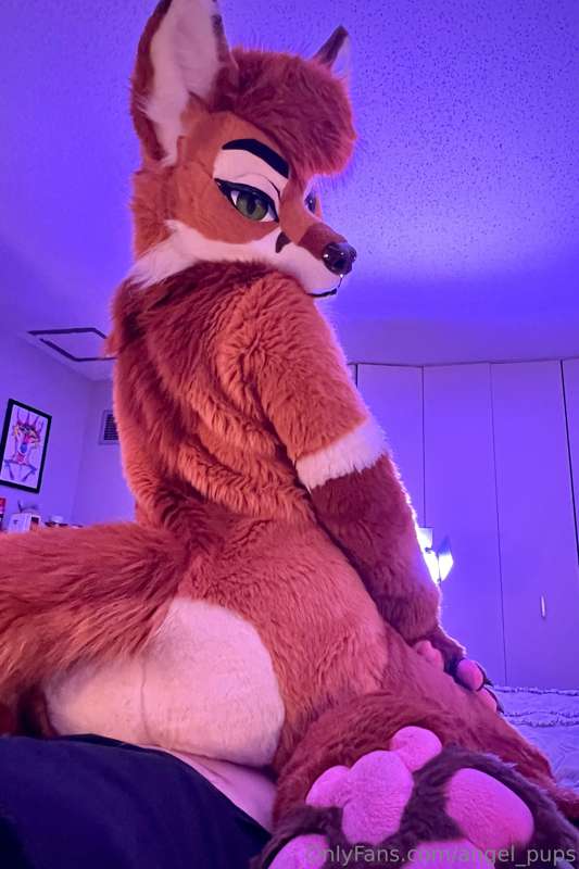 Cornered and trapped by a horny vixen 😳🦊 1