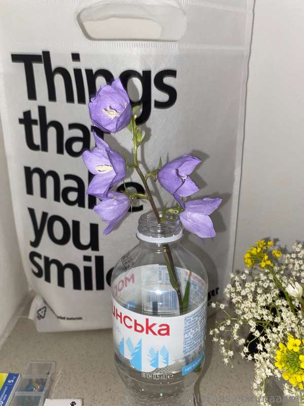 I REALLY LOVE FLOWERS AND PLANTS 😄 @naaami 1