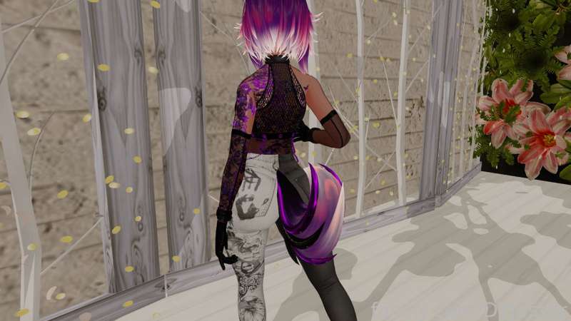 Dtjester - Fansly - 14 Feb, 2024 25