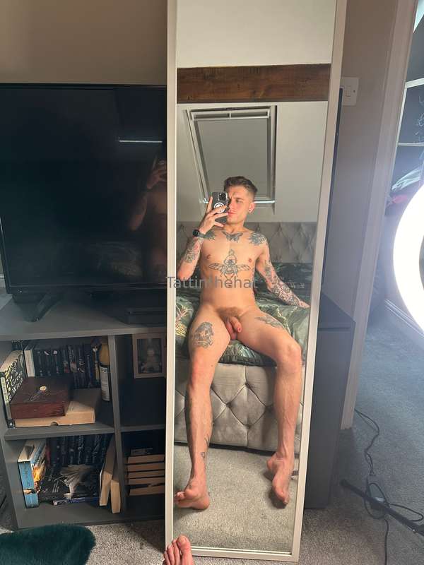 Tattedyorkie - Onlyfans - 17 May, 2024 2