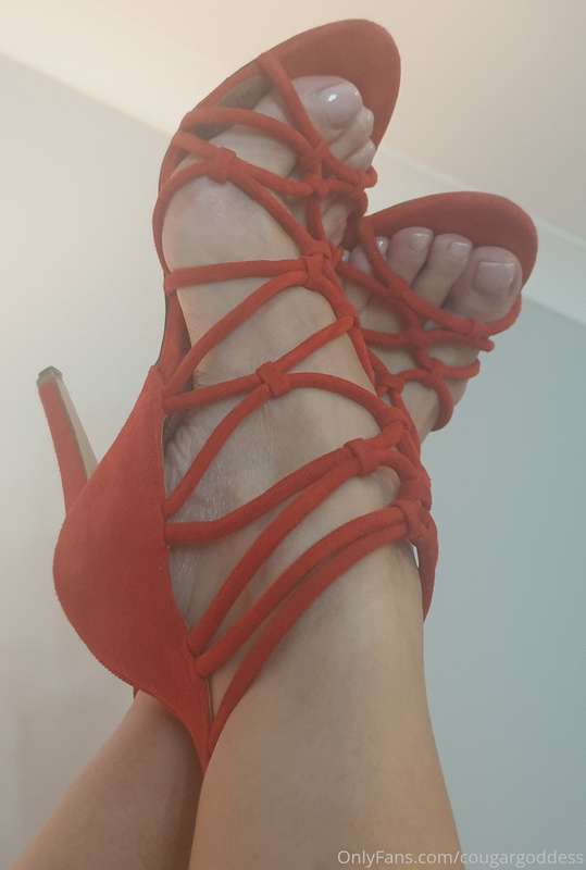 Thecougagoddess - Onlyfans - 02 Nov, 2020