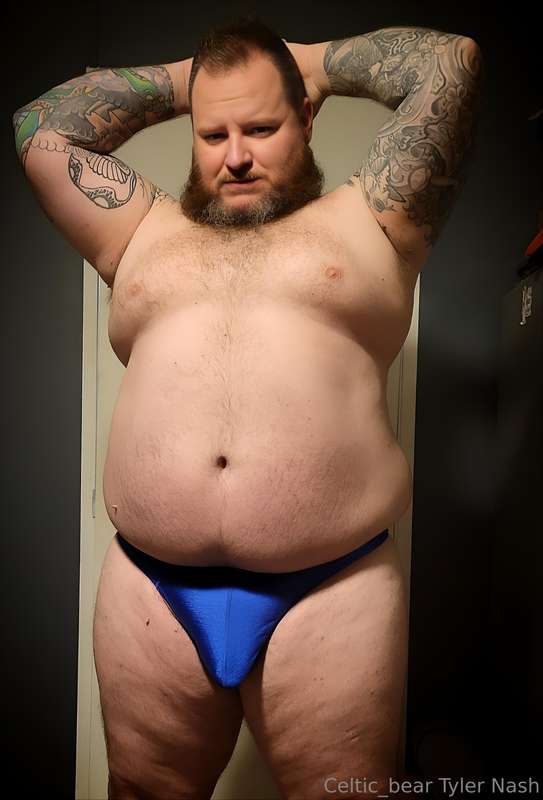The bear the belly the bulge