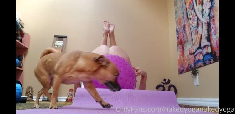 From today's Naked Yoga video on: HowTubes.TV/channel/NAKED_.. 11