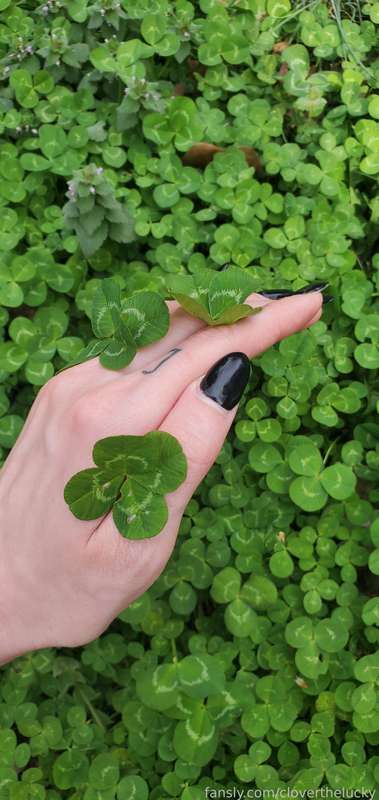 Cloverthelucky - Fansly - 24 Mar, 2025 19
