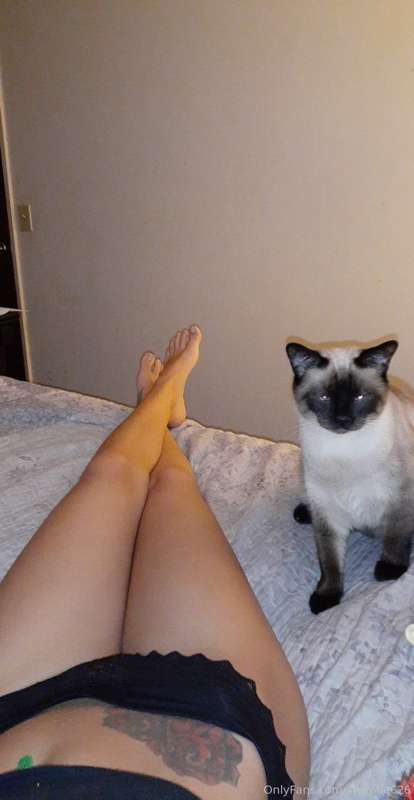 My kitty sky 😻
