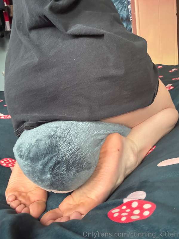 Wrestling with my blahaj is so comforting 💝🦈Was having a rou.. 22