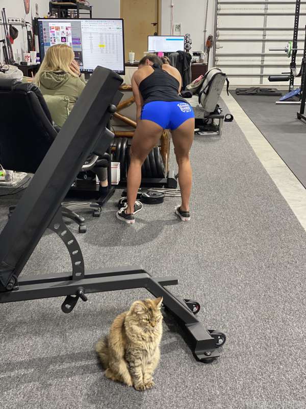 What a view… 😉