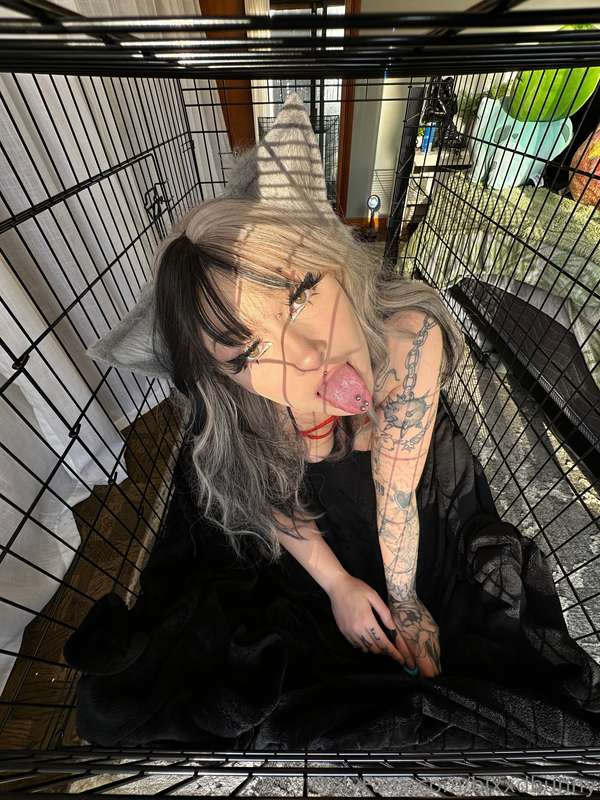 Blxxdbunny - Onlyfans - 22 Jan, 2025 2