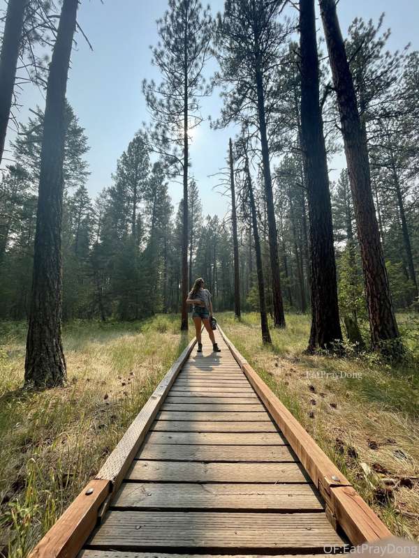 A few pics from our hike yesterday!! Also, there will not be.. 1