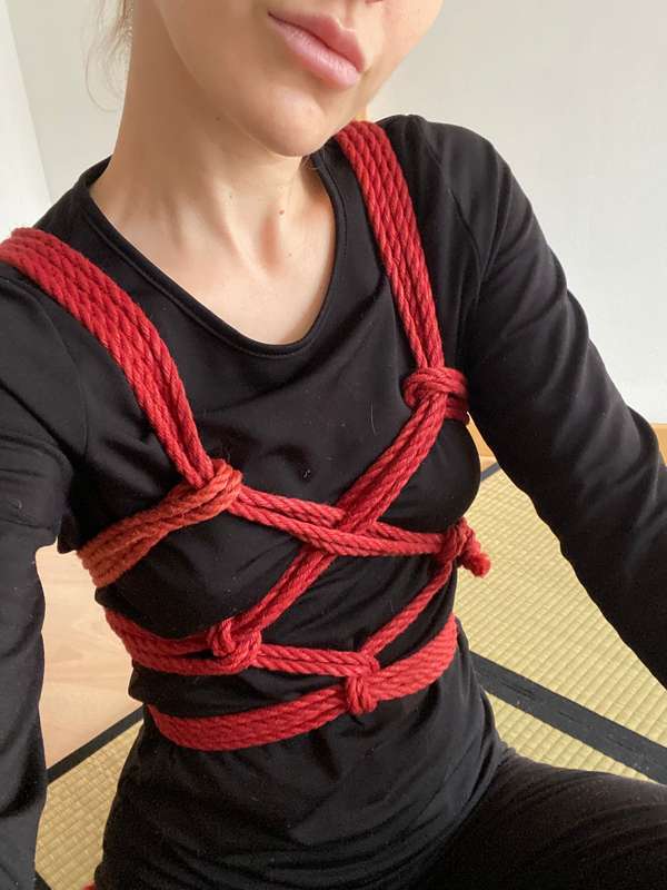 First time trying the 🦋 harness. Not bad. 