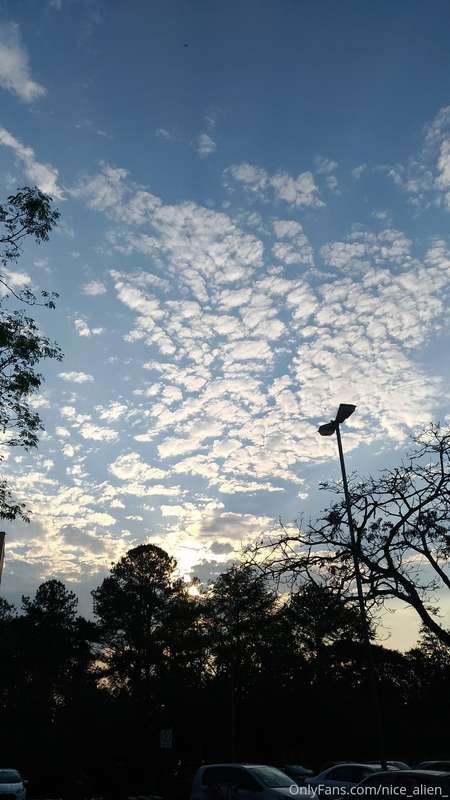 End of a Friday. Rain pause. 2