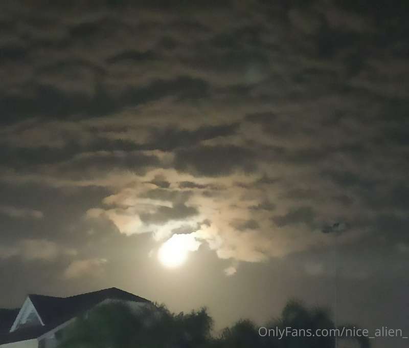 Pictures of a beautiful moon taken with a bad camera