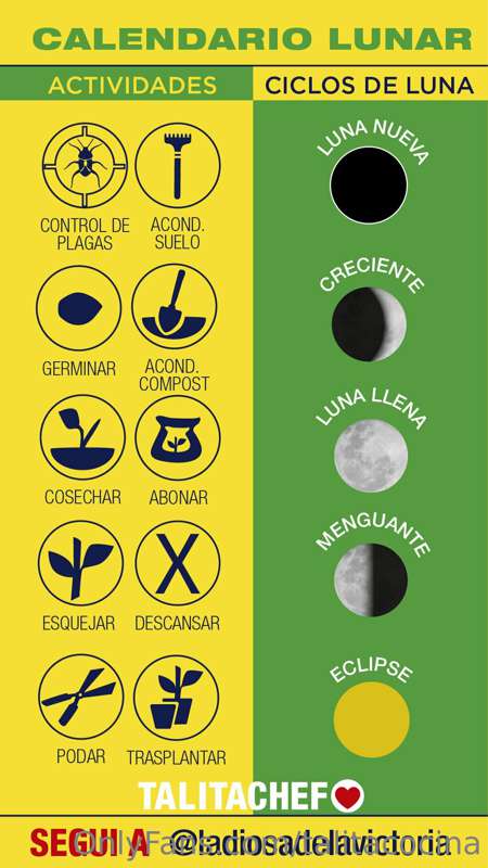 Tu guía lunar semanal para potenciar tus cultivos 
Si quiere.. 2