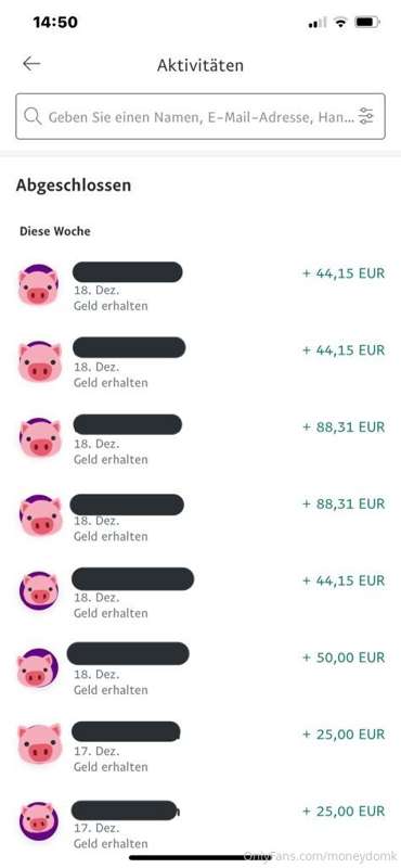 Was gibt es geileres als eine Team Viewer x Payp*l Abzocke? ..