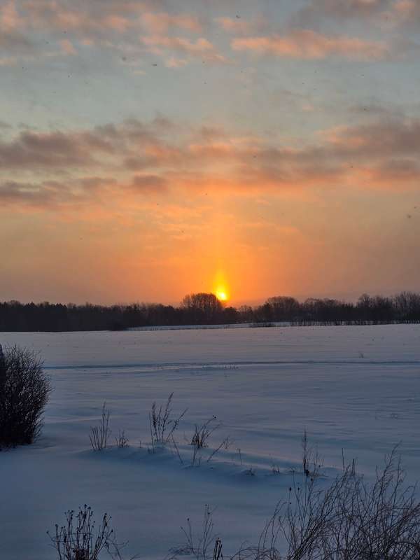 Ceeanna - Fansly - 06 Feb, 2025