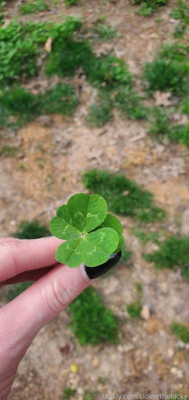 Cloverthelucky - Fansly - 24 Mar, 2025 26