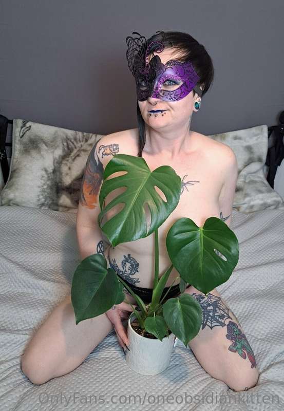 Finally a day off work to take some proper care of my plants..