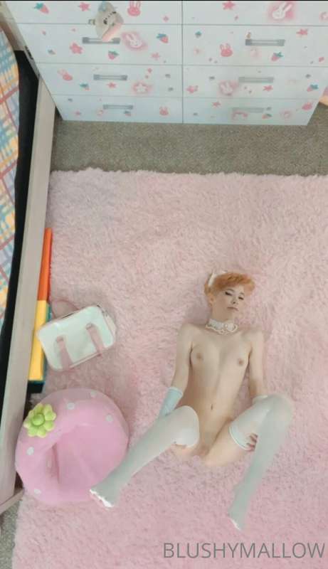 Another kitty girl post :3 what’s your favorite picture? I t.. 12