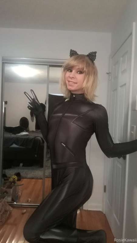 cat noir set 2/4 x :3 27
