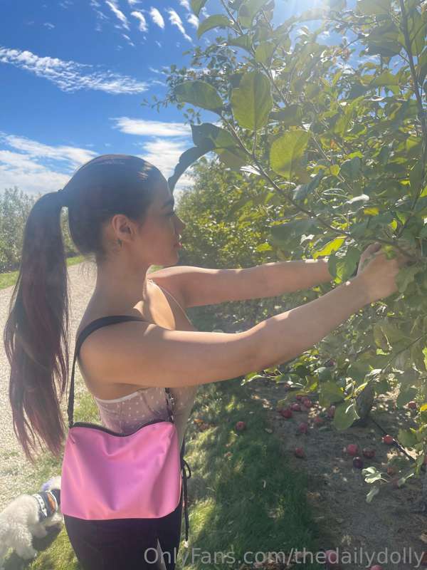 Apple picking today was so fun 🥰🍎