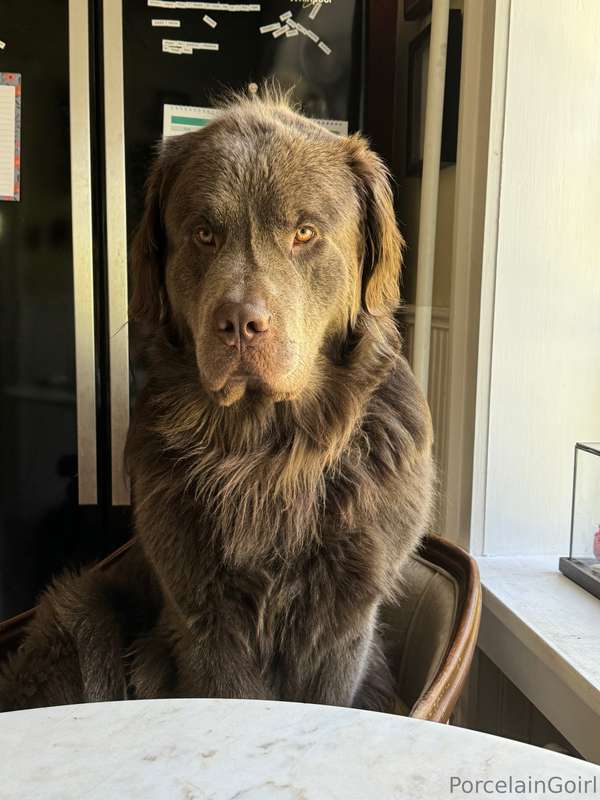 Are you just gonna sit there and judge everyone? 