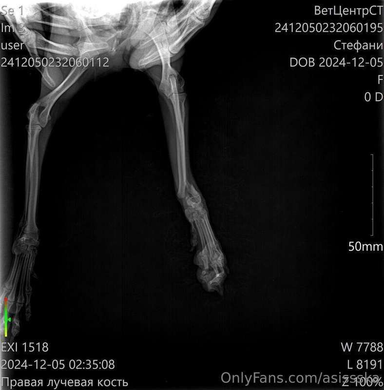 My little pup had an accident and broke her leg… 💔 Seeing he..