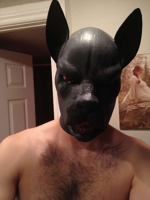 who's a good doggy?