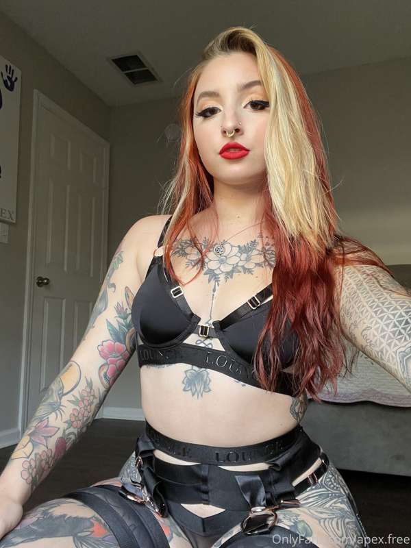 Apex.Free - Onlyfans - 12 Nov, 2021 3