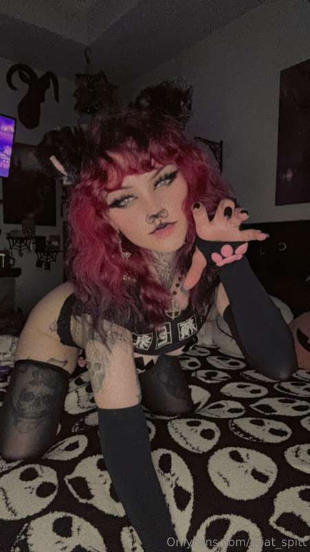 Dirty lil kitty 🐱  1