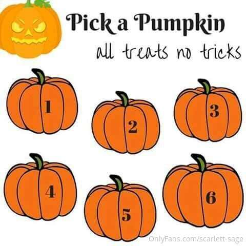 #### 🎃 PICK A PUMPKIN 🎃 👻 **every pumpkin is a winner** 👻 🕸 ..