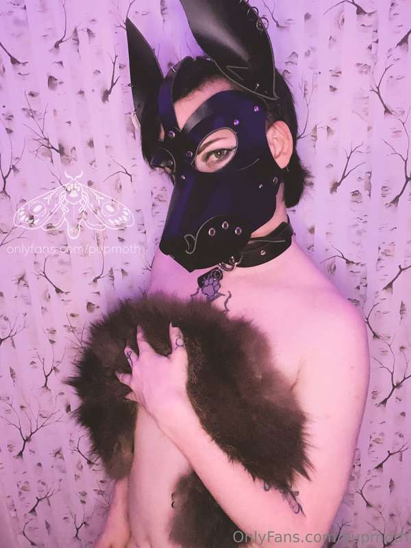 Meet me in the woods. 1