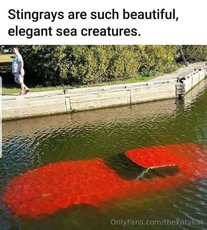 Meme of the Day!