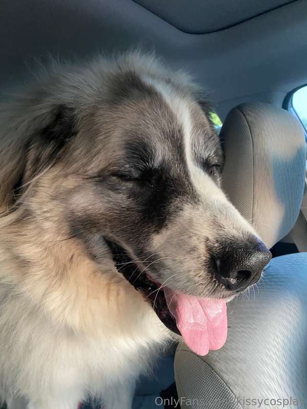 Checking my dog into the ER for 48 hours, I’ll know more aft.. 2