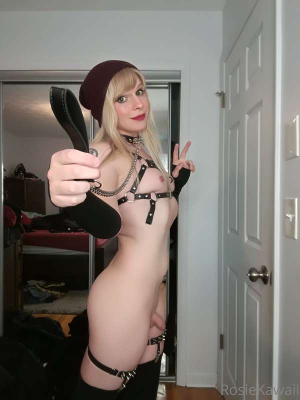 Punk Bish 3/8x 40 pics each post x 22