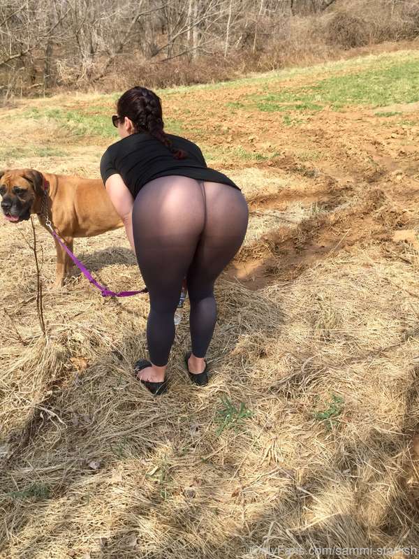20 more pictures from the dog walk through the neighborhood... 16
